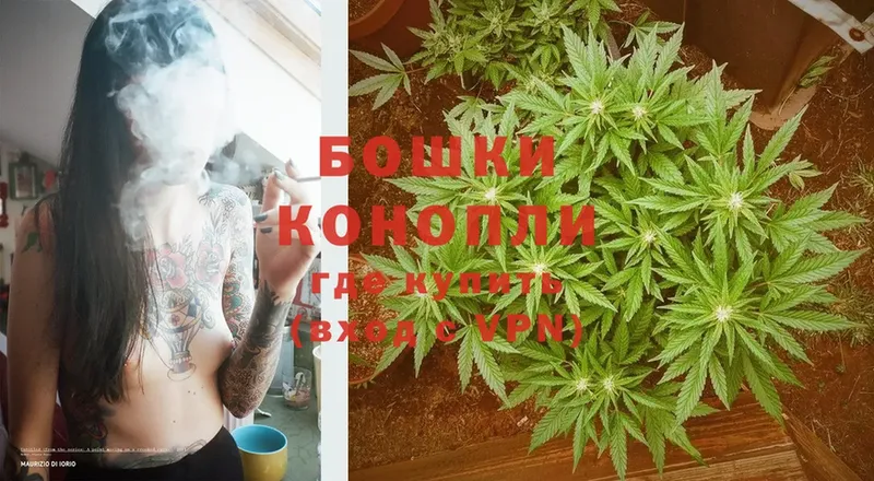 Бошки марихуана SATIVA & INDICA  Валдай 